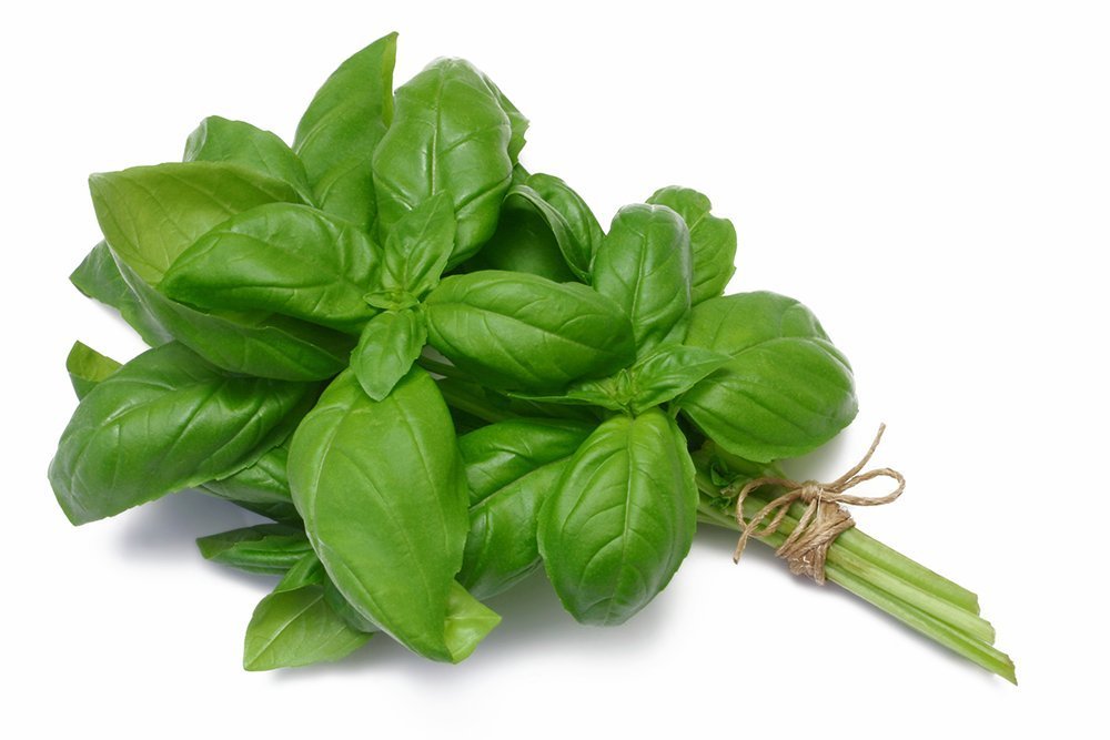 Basil olive oil in the Bright and Fresh Signature Four