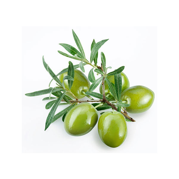 Cobrançosa - Robust - Portugal Ultra-Premium EVOO