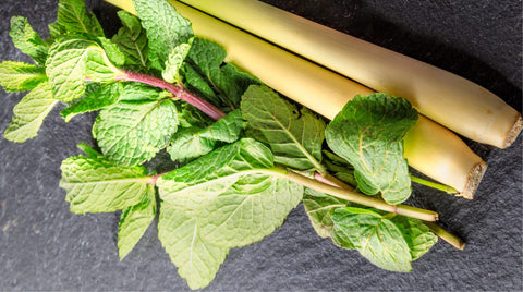 Lemongrass–Mint White Balsamic Vinegar