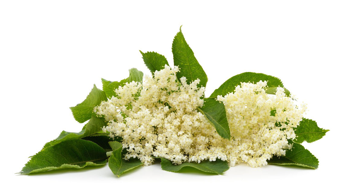 Elderflower White Balsamic Vinegar