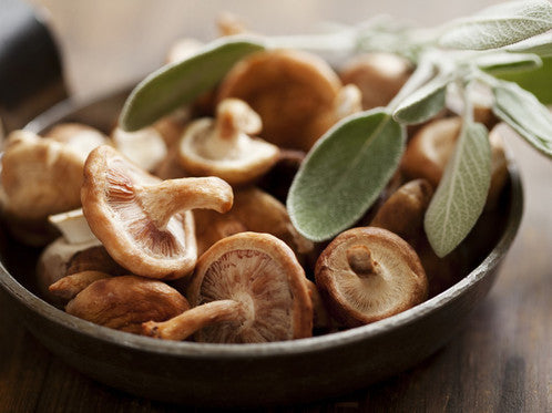 Wild Mushroom and Sage olive oil in the Bold and Savory Signature Four