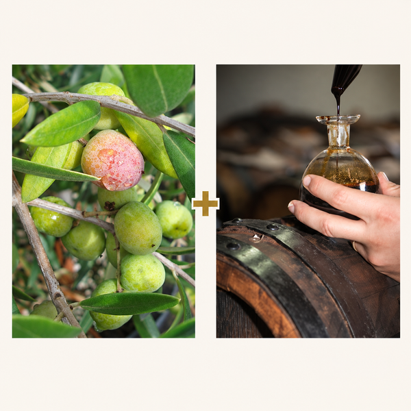 The Connoisseur Gift Pair — current-harvest EVOO plus Denissimo aged balsamic