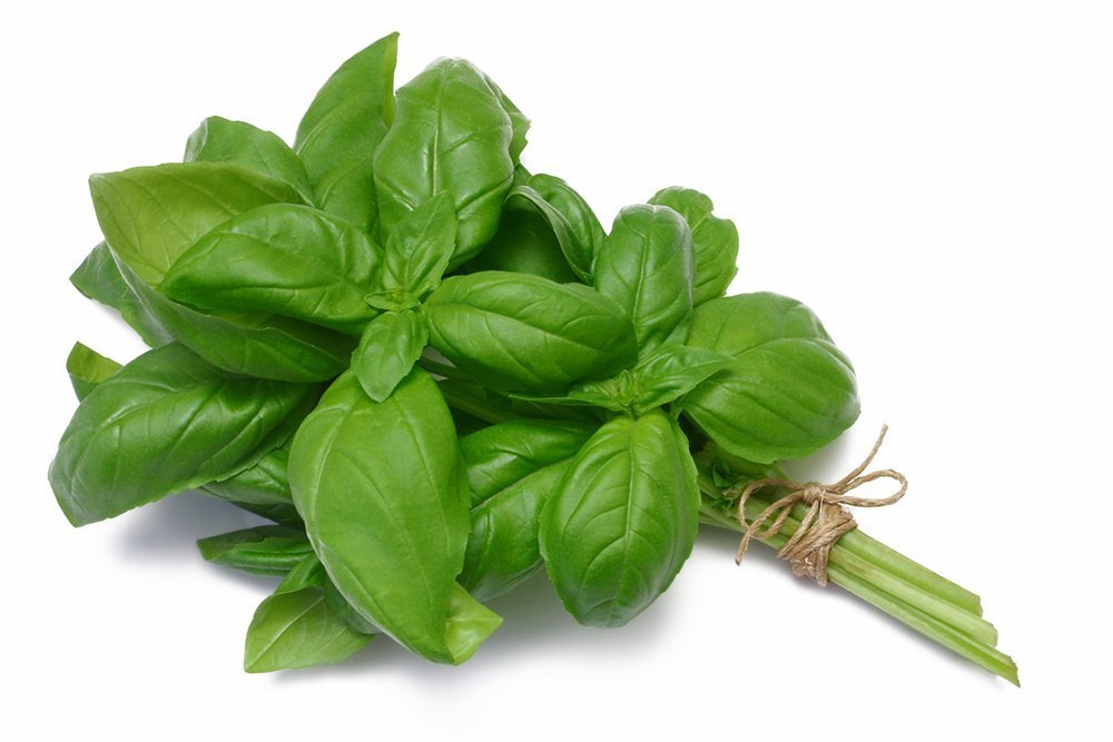 Basil Infused Olive Oil