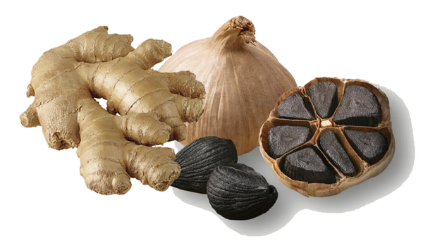 Ginger & Black Garlic Infused Olive Oil