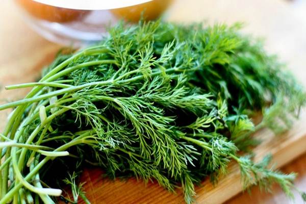 Wild Fernleaf Dill Olive Oil