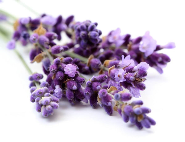 Lavender Dark Balsamic Vinegar