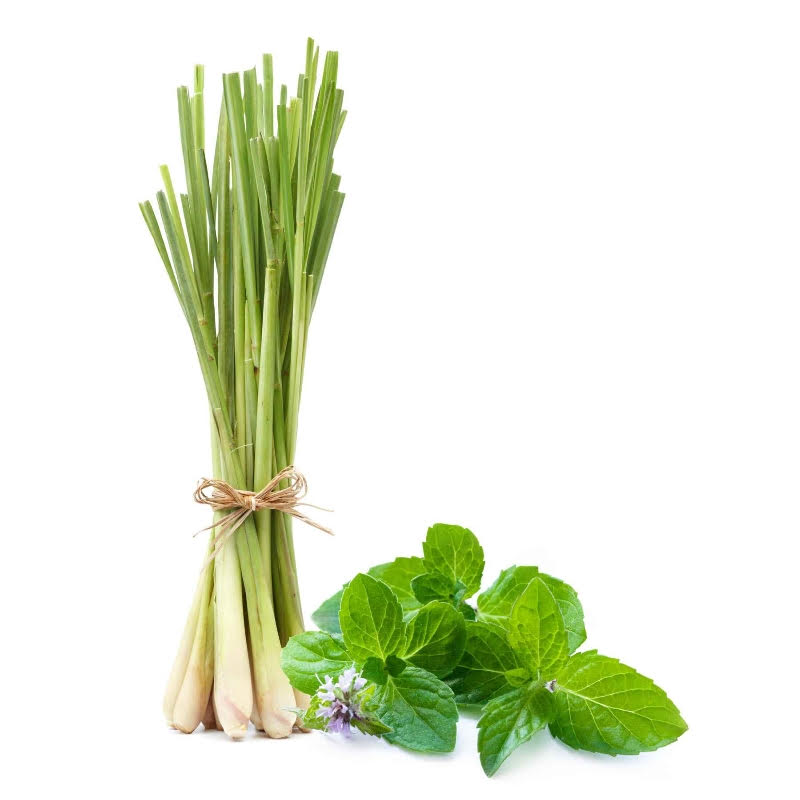 Lemongrass–Mint White Balsamic Vinegar