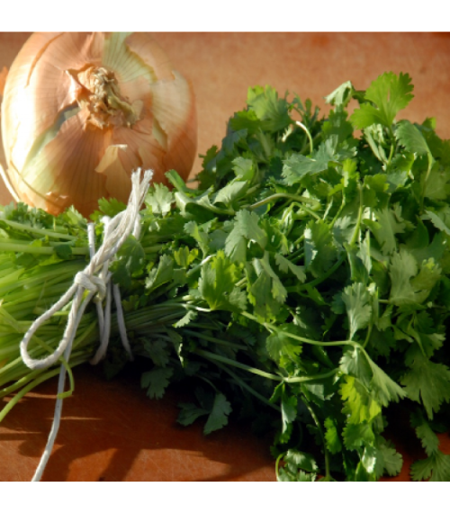 Cilantro & Roasted Onion Infused Olive Oil