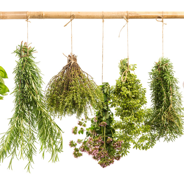 Tuscan Herb Infused Olive Oil